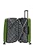 Rockland Melbourne Hardside Expandable Spinner Wheel Luggage, Green, Checked-Large 28-Inch (F1603-GREEN)