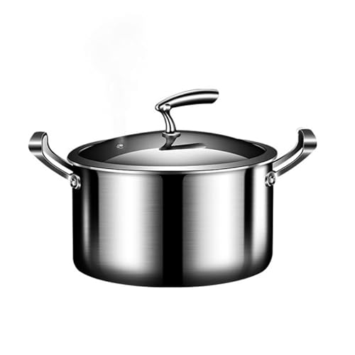 GTHTUHFD Induction Cooker Gas Stove General Household Stainless Steel Steamer Stew Pot