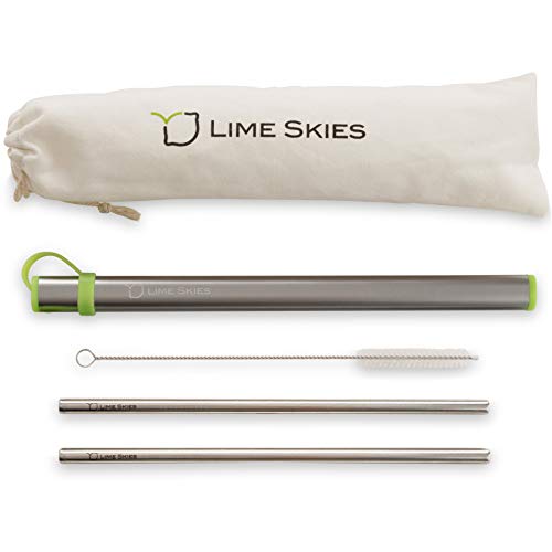 2 Reusable Stainless Steel Metal Straws with Case - Drinking Straws 8.5