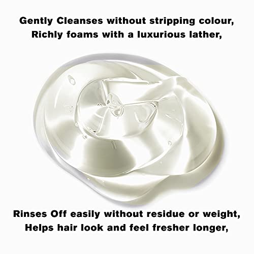 Snobgirls Vice-Versa Curls Shampoo And Conditioner For Curly Hair. New Super Concentrated Shampoo For Curly, Dry, Wavy, Frizzy, Unmanageable Hair, All Types Of Curls… #TOP2