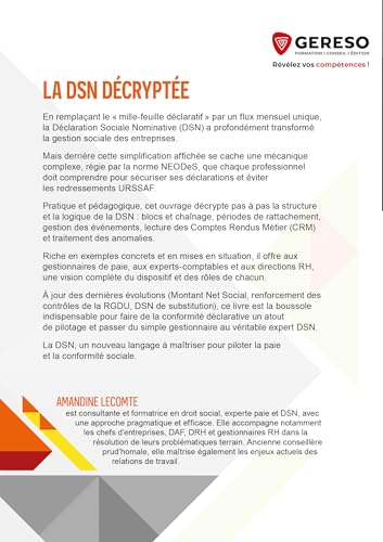 La DSN décryptée: Sécurisez vos droits et vos contrôles, la méthode pour une DSN sans faille – vue 2