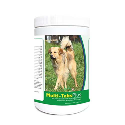 Healthy Breeds Chinook Multi-Tabs Plus Chewable Tablets - The Vitamins & Minerals Your Dog Needs to Support Better Health from The Inside Out - 365 Count