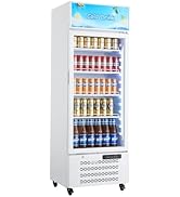 VEVOR Commercial Merchandiser Refrigerator, 9.6 Cu.Ft / 273 L Glass Door Display Refrigerator, Up...