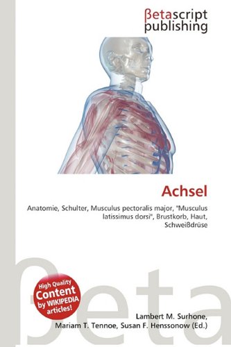 Achsel: Anatomie, Schulter, Musculus pectoralis major, ''Musculus latissimus dorsi'', Brustkorb, Haut, Schweißdrüse