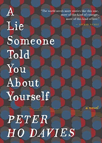A Lie Someone Told You About Yourself: A Heartbreaking Literary Novel of Fatherhood, Pregnancy, and the Weight of Choice