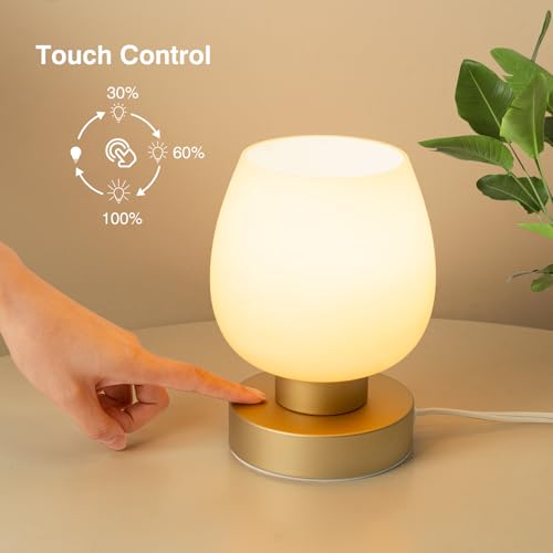 Touch Bedside Table Lamp - Desert Titanium Color Glass Lamp Shade, Warm LED Bulb, 3 Way Dimmable, Simple Design - Thumbnail 2