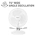 Holmes 12 Inch Oscillating Table Fan 3 Speeds 75 Degree Wide Angle Oscillation 15 Degree Adjustable Head Tilt Quiet Cooling for Home Office Bedroom Manual Control White