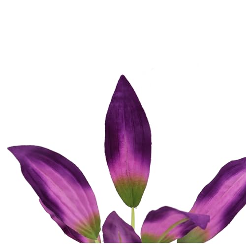 Image of Silk Aquarium Plants for Betta Fish Tank, 2 Pcs 8 Inch Small Silk Aquarium Plant Aquatic Water Grass Decoration, Purple