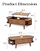 Pruchant Oval Lift Top Coffee Table with Storage, 47.2