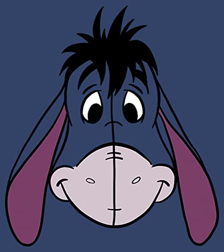 Disney Boys' Eeyore Big Face Hoodie2