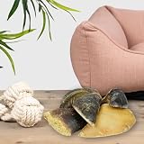 Lyra Pet® 15 STK. Rinderhufe gefüllt mit Pansen und Leber je ca. 120 g | Naturbelassener Kausnack | Ideal für die Zahnpflege | Leckerli für Hunde | Gut verdaulicher Kauartikel | Proteinreiches Futter