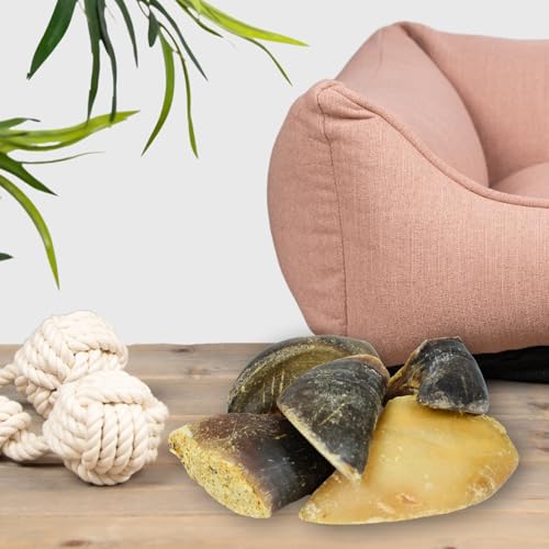 Lyra Pet® 15 STK. Rinderhufe gefüllt mit Pansen und Leber je ca. 120 g | Naturbelassener Kausnack | Ideal für die Zahnpflege | Leckerli für Hunde | Gut verdaulicher Kauartikel | Proteinreiches Futter