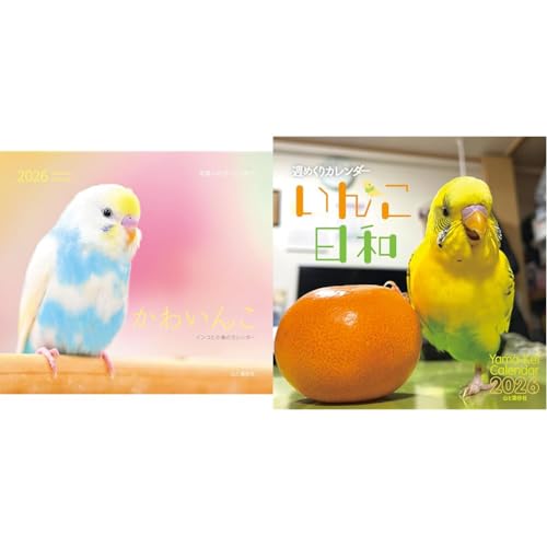 ヤマケイカレンダー2026 いんこカレンダー_壁掛け・卓上セットのサムネイル