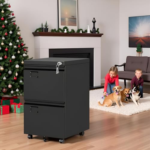 SUXXAN 2 Drawer File Cabinet with Wheels, Under Desk Drawer with Lock Name Card Holder for Home Office, Metal Filing Cabinet for Legal/Letter Size, Assembly Required - Thumbnail 2