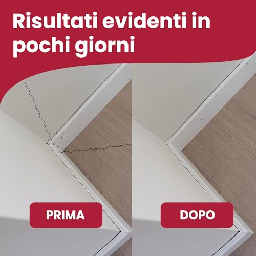 Lerava® Gel Formiche [Pronto All'uso] - 2X10G Siringa - Insetticida Formiche Con Esca Potente Attrattiva - Esca Formiche Per Uso Interno/Esterno - Protezione Lunga Durata - Anti Formiche Per Casa - 6