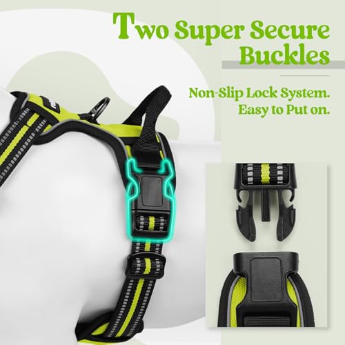 image for rabbitgoo Dog Harness No Pull with 2 Leash Clips, Adjustable Soft Padd