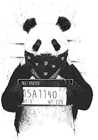Amazon Com Bad Panda Balazs Solti Animal Bear Panda Illustration Poster Choose Size Print Or Canvas Posters Prints