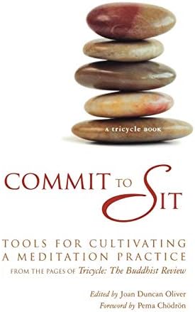 Commit to Sit: Tools for Cultivating a Meditation Practice from the Pages of Tricycle Paperback โ March 1, 2009