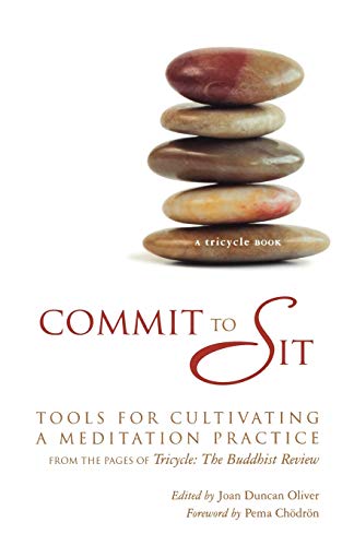 Commit to Sit: Tools for Cultivating a Meditation Practice from the Pages of Tricycle Paperback – March 1, 2009