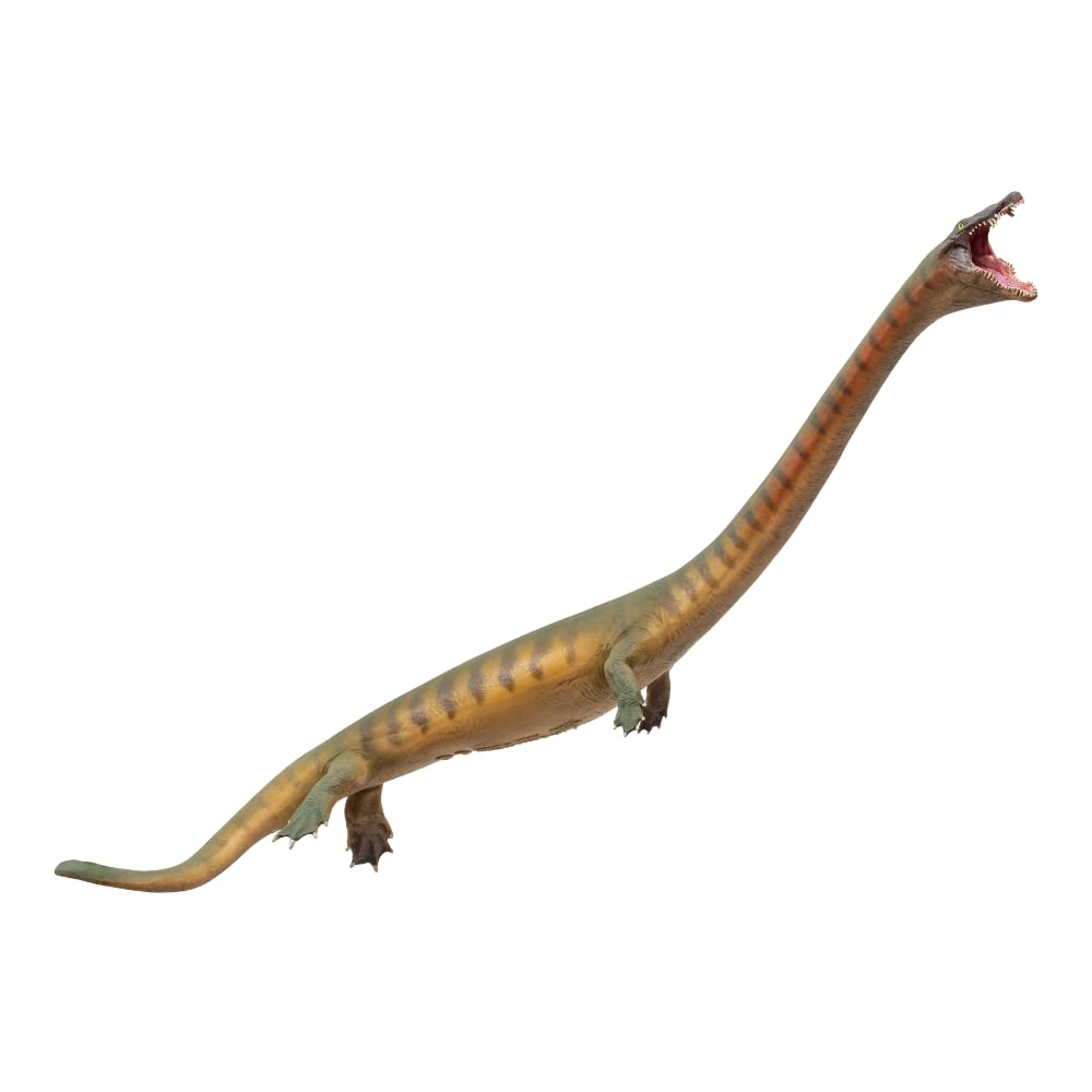 Modèle de dinosaure préhistorique Dinocephalosaurus AMITD de collection haute fidélité