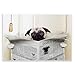 Stupell Industries Pug Reading Newspaper in Bathroom Wall Plaque Art, 10 x 0.5 x 15, Proudly Made in USA