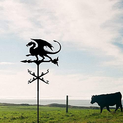 Alfusa Weather Vane Weathervane Flying Dragon Weather Vane Retro Farm Scene Weathervane Professional Measuring Tools Patio Yard Decoration #TOP5