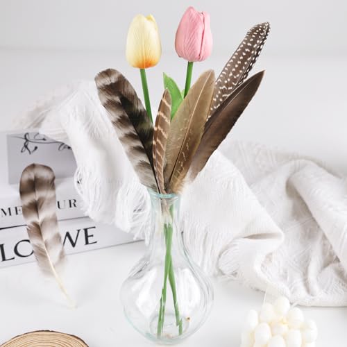 MehelloFeather Pheasant Feathers 12Pcs Natural Feathers 6 Style for DIY Crafts Hat Floral Arrangements Halloween Decorations by MehelloFeather - Image 5