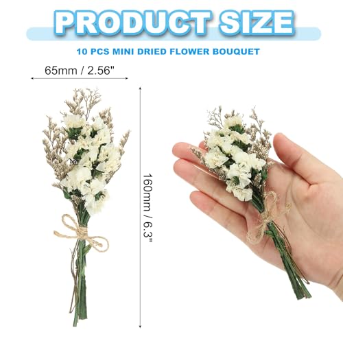 Mini ramo de flores secas PATIKIL, 10 piezas miniatura 2