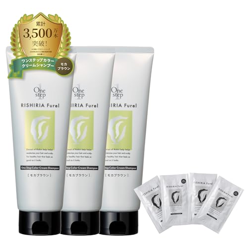 Sastty VAt XebvJ[N[Vv[(JuE) 240g 3{Zbgy J[g[gg×2 J[PARfBVi[×2z