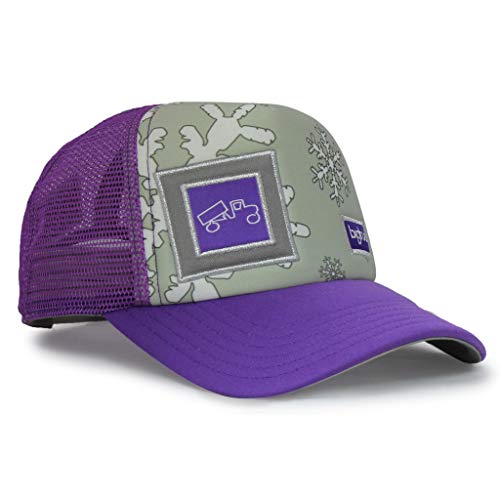 Amazon.com: bigtruck: Youth display picture 1