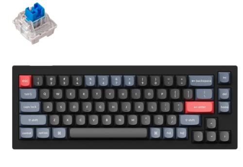 Keychron V2 �L�������\ RGB�o�b�N���C�g�u���[�X�C�b�` - �u���b�N�B