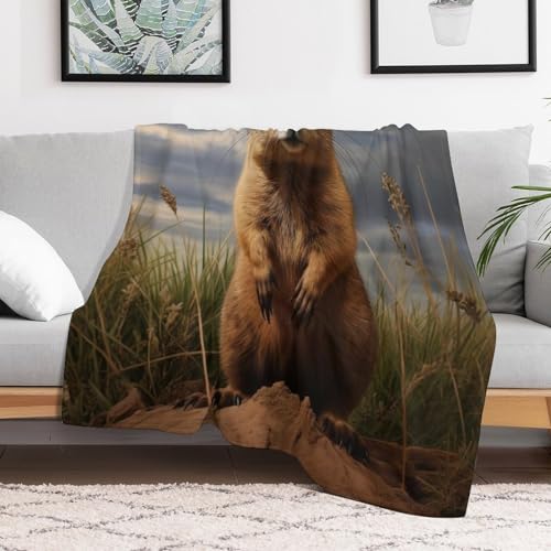 Couverture plaid de flannel luxe impression 3D marmotte douce