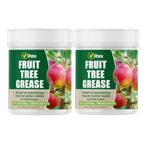 Vitax Fruit Tree Grease 200g Protects Fruit Trees from Pests Diseases & Winter Damage Ideal for Apples Pears Plums Cherries & More Effective Insect Barrier Suitable For Organic Gardening pack of 2