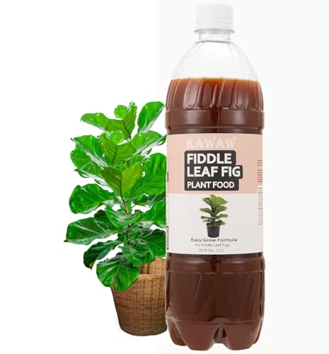 Geigenfeige Dünger 1L, Intensive Blattfärbung dank Spurennährstoffe – Stärkt die Widerstandskraft – Schneller Wirkungseintritt – Ergiebiges Konzentrat für ca 200 Liter Gießwasser