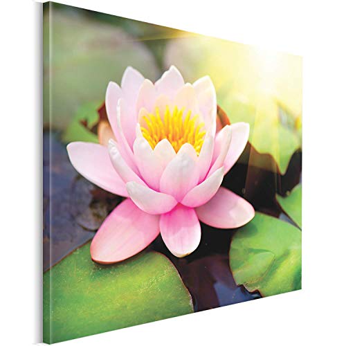 Revolio 40x30 cm Impression sur Toile Murale Tableau Art Peinture Image Motif Moderne Décoration pour Le Salon Intérieur Photo - Lotus l'eau Fleur Rose Vert Cover