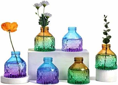 Eidoct Glass Bud Vases Set of 6, Glass Flower Vases Small Bottles for Floral Arrangements, Rustic Decorative Floral Vases for Centerpiece Home Living Room Office Decoration or Wedding Event (Clear C)