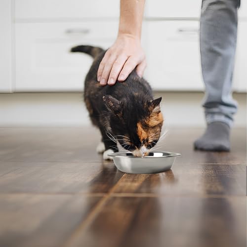 4 Pcs Stainless Steel Cat Bowls,7.1 Inches Metal Cat Bowl, Cat Food Bowls for Indoor Cats, Whisker Fatigue Cat Bowl, Shallow Cat Food Dish, Kitten Food Bowl, Elevated Food Bowls for Cats - Image 6