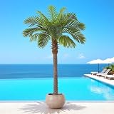 6FT Artificial Coconut Palm, Faux Coconut Silk Palm Tree in Pot (1 Pack)