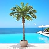 FloraFairy 6FT Artificial Coconut Palm, Faux Coconut Silk Palm Tree, Tropical Fake Trees for Indoor Outdoor, Large Sago Palm Plant for Home Office Garden Patio Poolside, 1 Pack