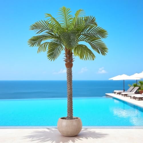 FloraFairy 6FT Artificial Coconut Palm, Faux Coconut Silk Palm Tree, Tropical Fake Trees for Indoor Outdoor, Large Sago Palm Plant for Home Office Garden Patio Poolside, 1 Pack