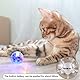 Leikurvo 6 Stück Katzenspielzeug Geisterjagd-Bewegungsbälle, Katzenball mit LED Licht, blinkende Katzenkugel Bewegung Bälle Haustierspielzeug Interaktives Kätzchenballspielzeug Paranormale Ausrüstung