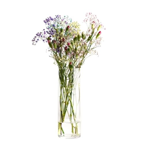 KROSNO Glass Vase for Flowers, 11.8 inch, Home Collection
