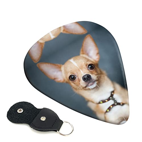 Ensemble de 6 médiators de guitare Chihuahua mignon pour guitare acoustique, guitare électrique, basse, ukulélé – fin… - Les Beatles, Paul McCartney, John Lennon, RIngo Starr, George Harrison Ensemble de 6 médiators de guitare Chihuahua mignon pour guitare acoustique, guitare électrique, basse, ukulélé - fin…