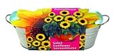 Mini-Küchengarten. Sonnenblume: Zink-Blumenkasten (10 cm hoch, 30 cm lang) mit Saatmischung, Pflanzenerde und Pflegeanleitung