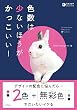 セール中のKindle本20:色数は少ないほうがかっこいい!