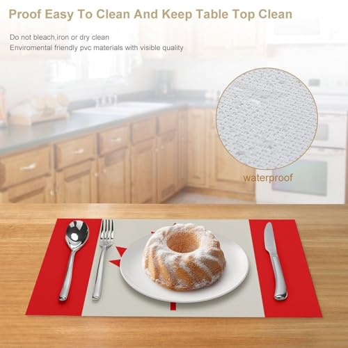 Sets de table drapeau canadien pour repas en intérieur et extérieur