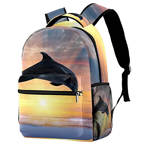 Sac à dos dauphin au coucher du soleil léger contre le mal de dos