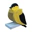 Gold Finch