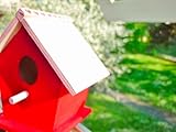 Nistkasten - 3