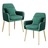High Quality Material Seat: Velvet dining chair adopt high density sponge so as to provide comfortable sitting experience while avoiding fatigue caused by sitting for long time. Besides, the surface is covered with soft velvet fabric, which is skin-friendly and delicate to touch.